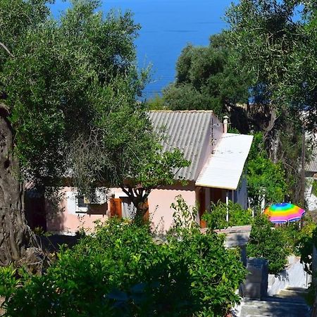 Kiki'S Beautiful House On Famous Village Pentátion 外观 照片