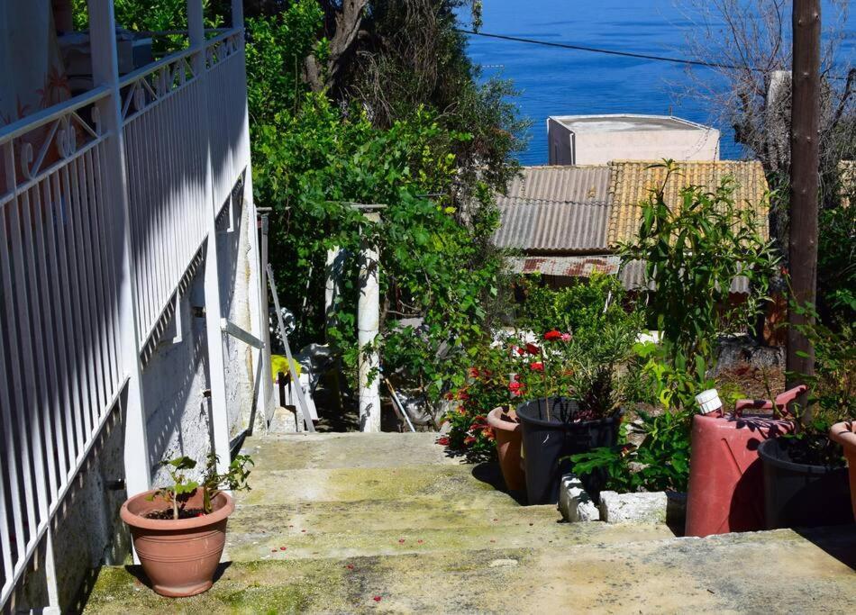 Kiki'S Beautiful House On Famous Village Pentátion 外观 照片